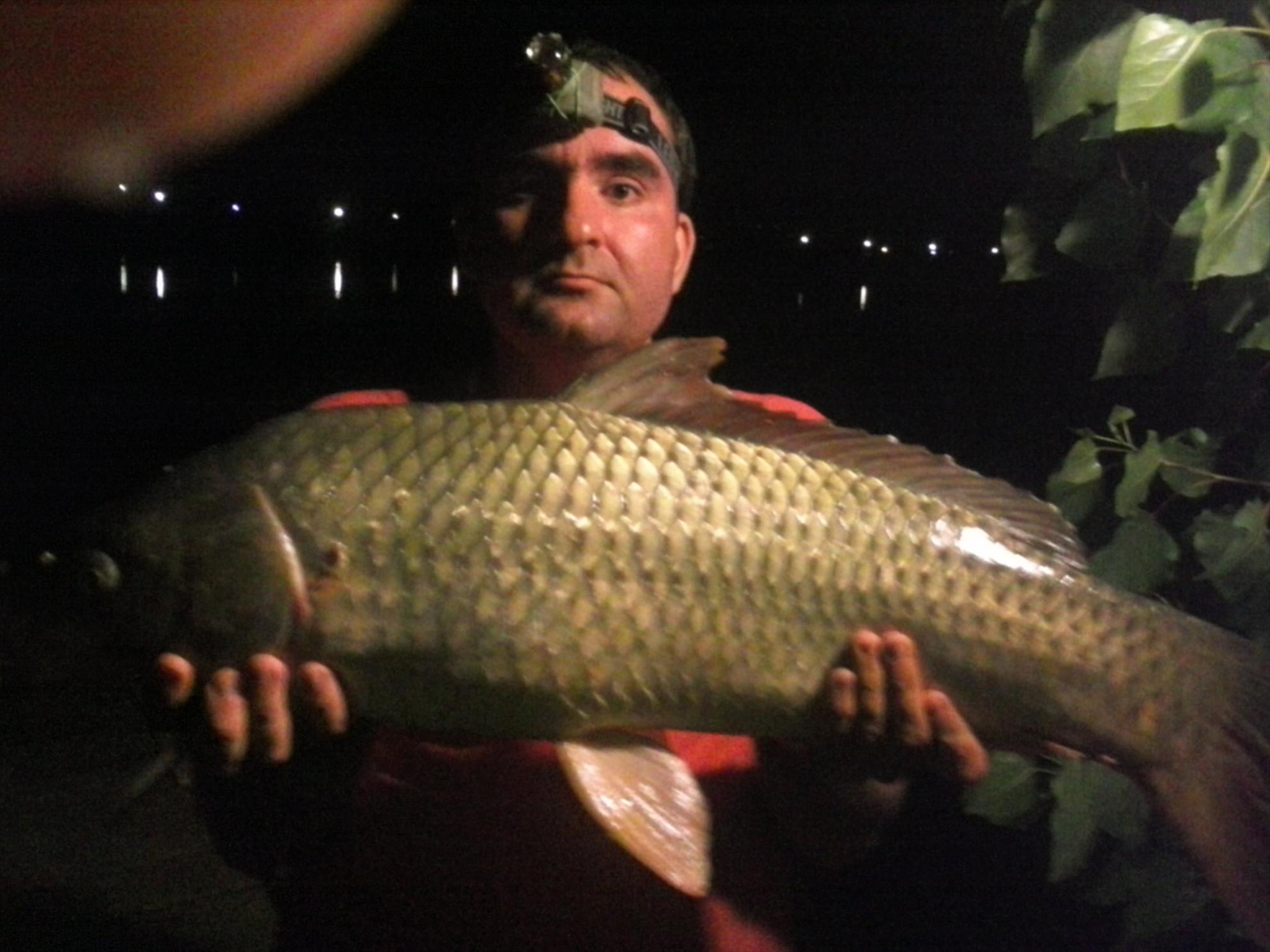 Pleasa 2013 - crap comun 6 kg